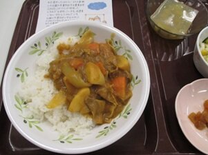 近畿大学農学部産玉ねぎ