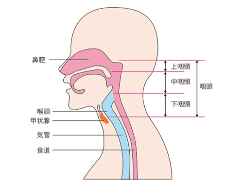 下咽頭がんの治療 近畿大学病院