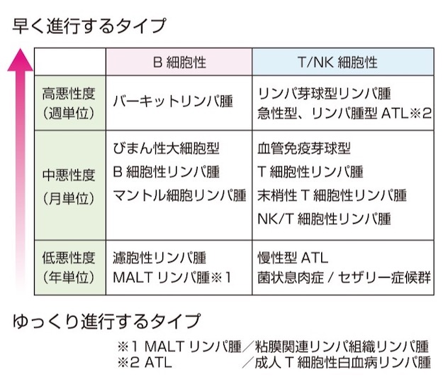 悪性 リンパ腫 余命