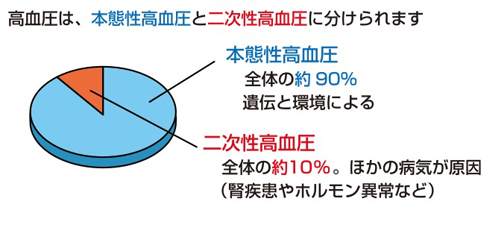 遺伝 高血圧