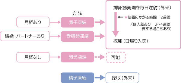 妊よう性・生殖機能温存治療の概要と治療日数（目安）のチャート