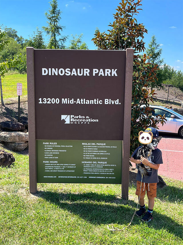 DINOSAUR PARK