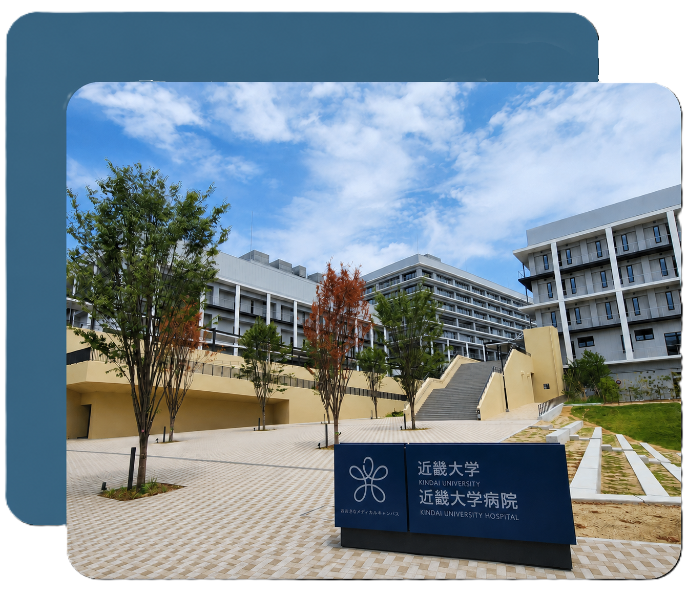 大学病院の外観