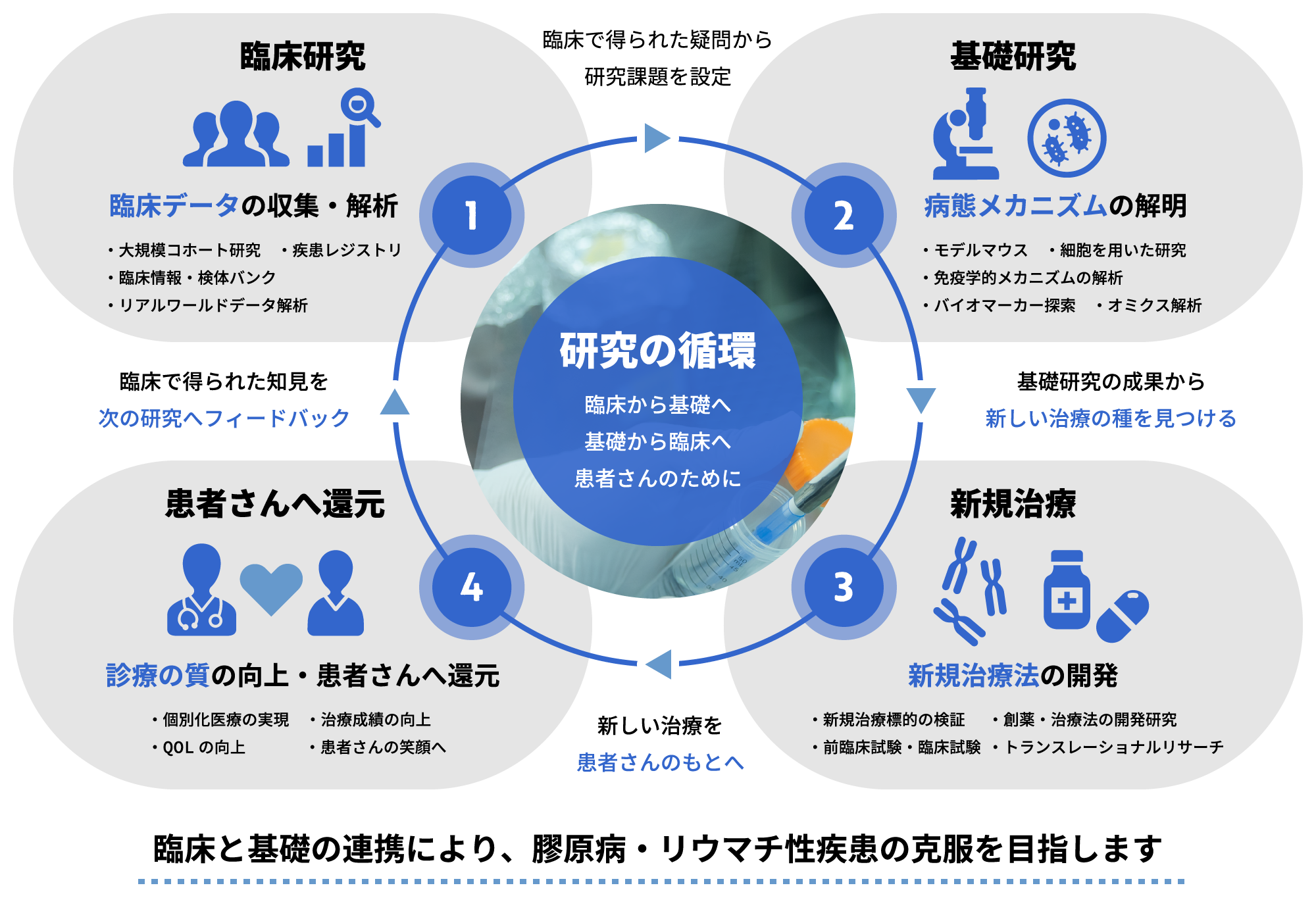 研究の循環
