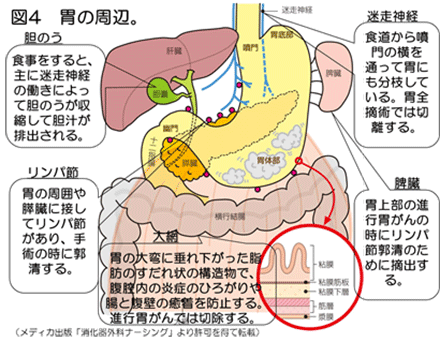 消化器外科 胃がんについての詳しい解説｜診療科・部門のご案内｜近畿