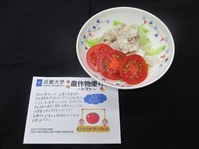 農学部産の夏野菜