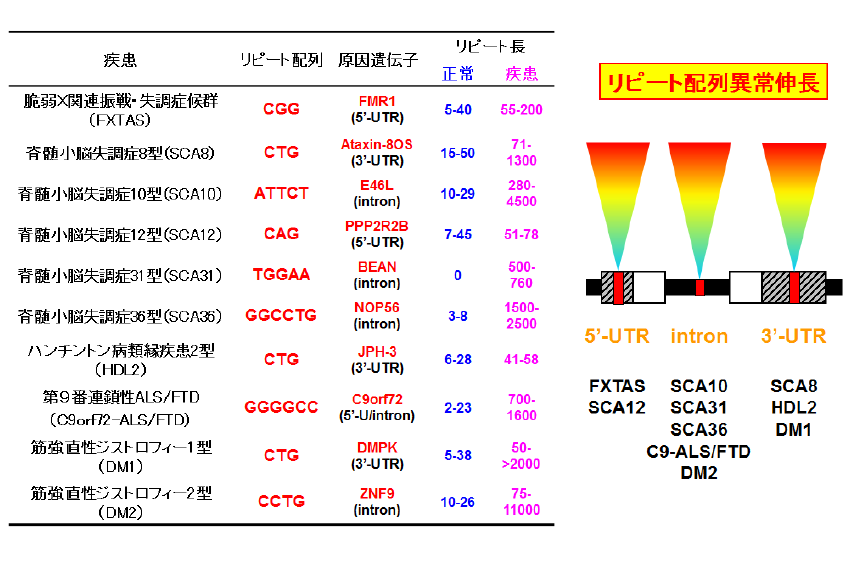 research_8.png (55 KB)