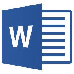 word_icon