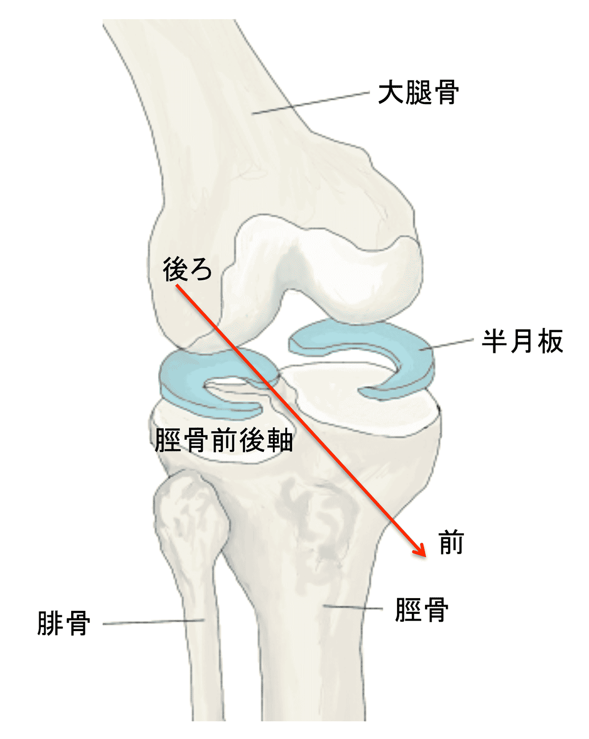 赤木ライン