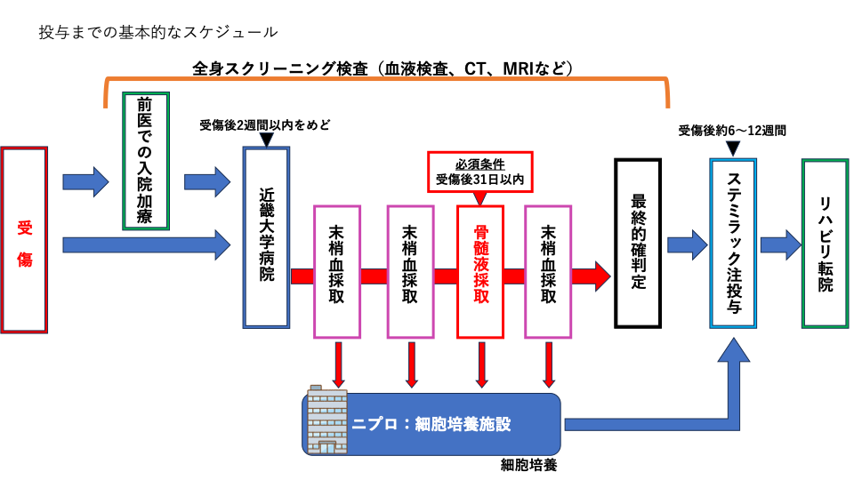 投与までの基本的なスケジュール