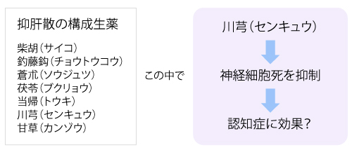 抑肝散の構成生薬